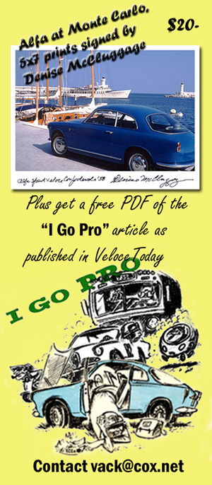 300-go-pro